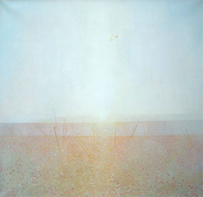 Derek Mynott: As Far As The Eye Can See