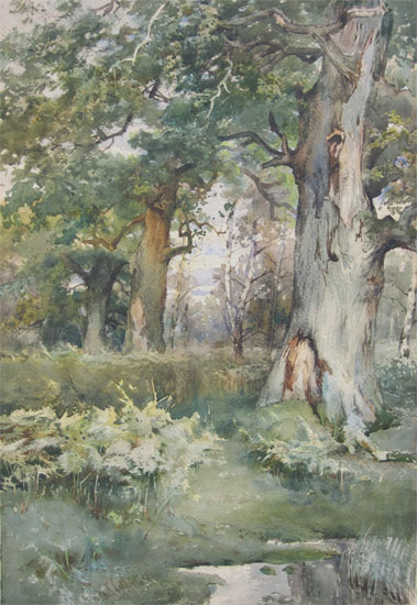 Frank Saltfleet: Woodland Glade
