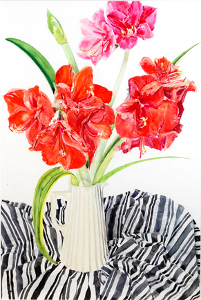 Harry More Gordon: Amaryllis and Black Stripes