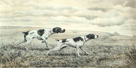 L&eacute;on Danchin: Pointers in a Field