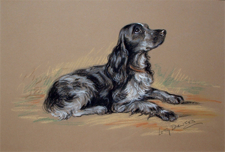 Lucy Dawson: Spaniel Devotion