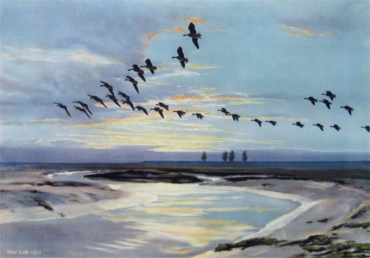 The Wash at Dawn. Pinkfeet by Peter Scott