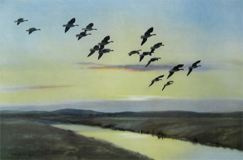 Morning Flight Over the Marsh by Peter Scott