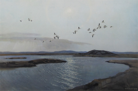 Sir Peter Scott: Summertime in the Canadian Arctic - Ross's Geese