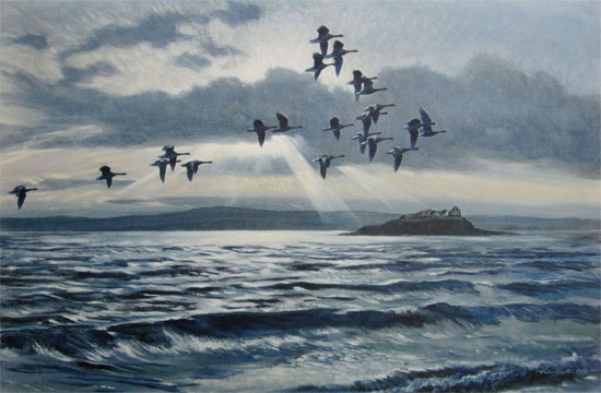 Sir Peter Scott: Greylags at Chapel Island with a Flood Tide