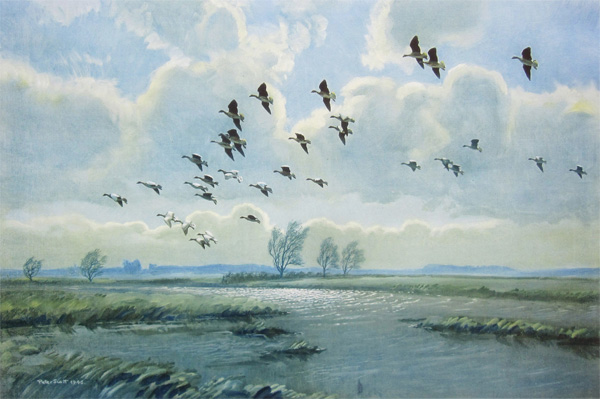Pink Feet in the Green Marshes by Peter Scott
