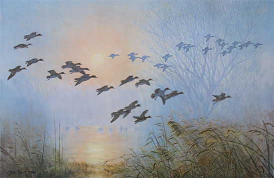 Sir Peter Scott: Teal Coming to the Pool, by the Willow, on a Misty Morning