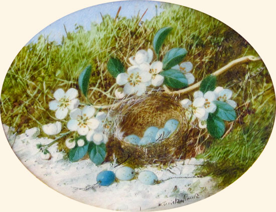 William Cruickshank: Still Life of Bird's Nest and Apple Blossom